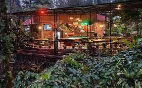 The Pinewood Lodge And Organic Farm